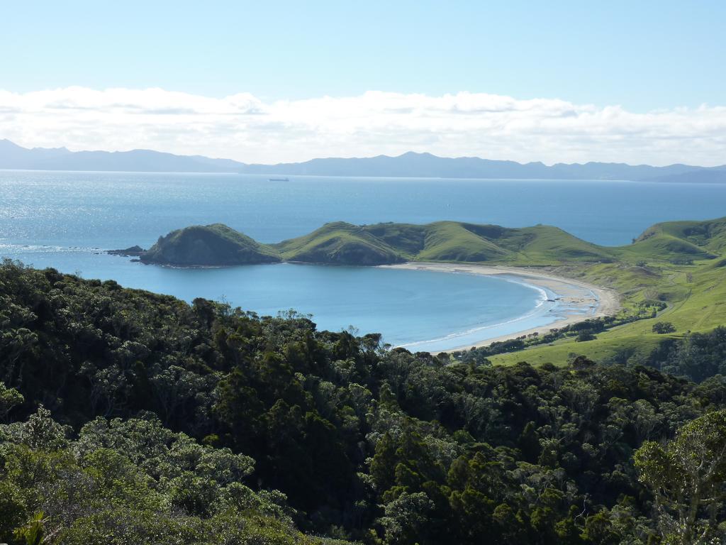 The Green House B&B Whitianga Esterno foto