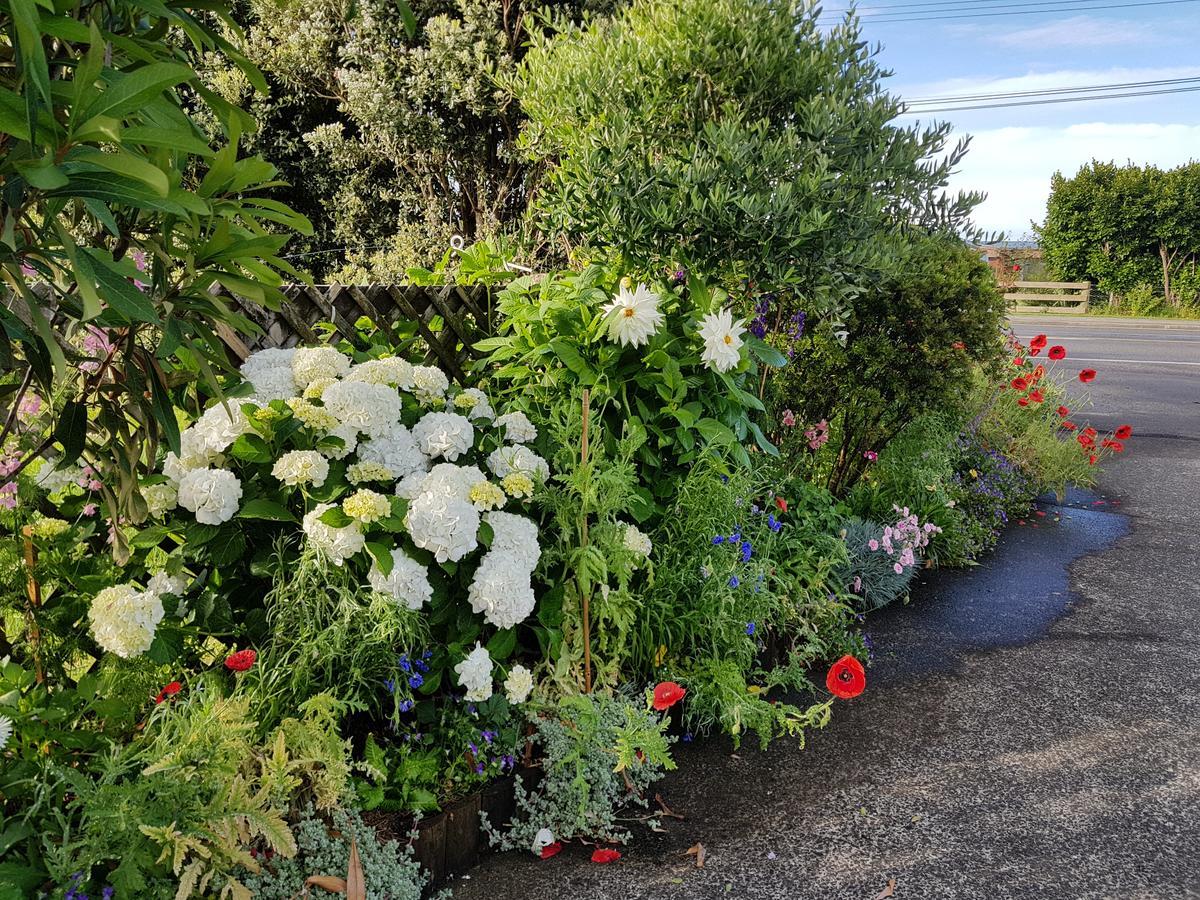 The Green House B&B Whitianga Esterno foto